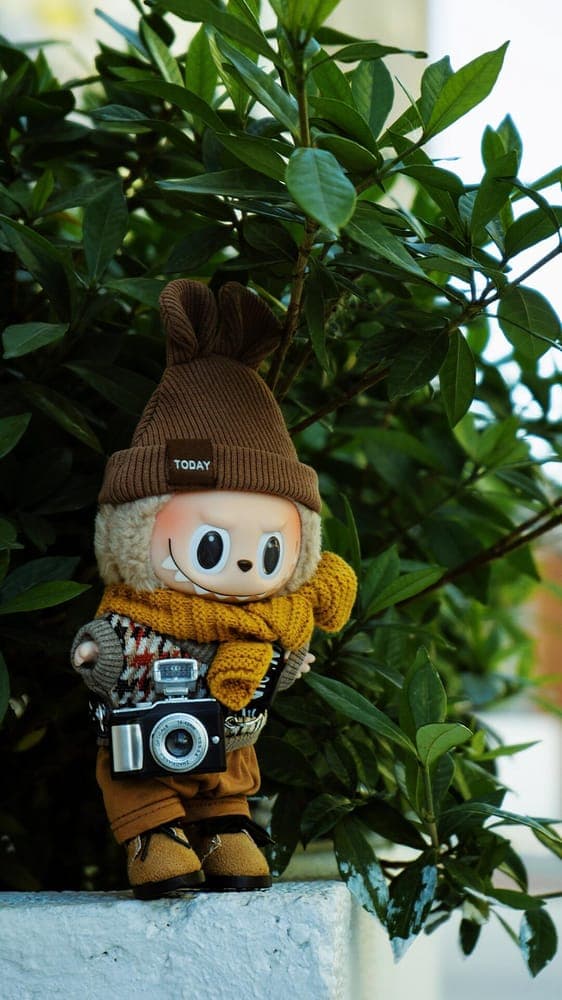 Photographer Labubu Wallpaper